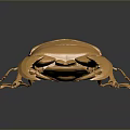 Detailed Golden Metallic Beetle Sculpture With Large Pincers On Dark Surface
