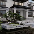 Traditional Chinese Courtyard Garden With Classic Architecture Pond Pine Trees And Stone Steps