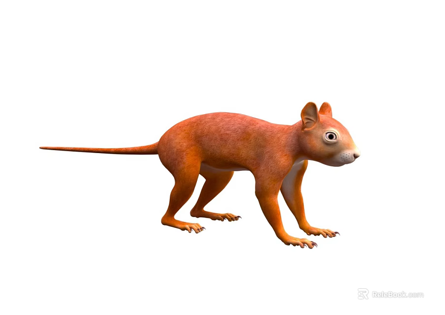 Orange Squirrel Like Animal Standing Posture With Long Tail On White Background 3d model 