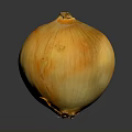 Ripe Fresh Whole Yellow Onion With Smooth Outer Skin On Dark Surface