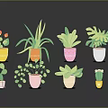 Colorful Potted House Plants With Various Leaf Shapes And Decorative Pots