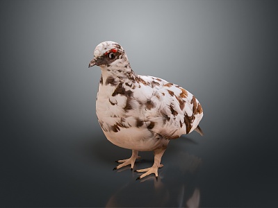 quail low model quail pixel quail voxel quail poultry animal wild animal feeding animal 3d model