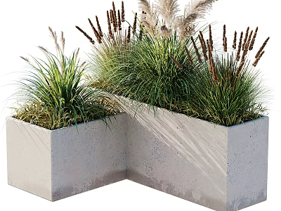 Decorative Bonsai Potted Plants In Concrete Planter With Ornamental Grasses 3d model