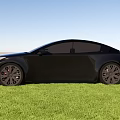 Black Modern Sedan Car Parked On Green Grass With Blue Sky Background