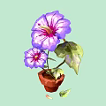 Purple Petunia Plant with Pink Centers Green Leaves in Brown Pot on Light Green Background