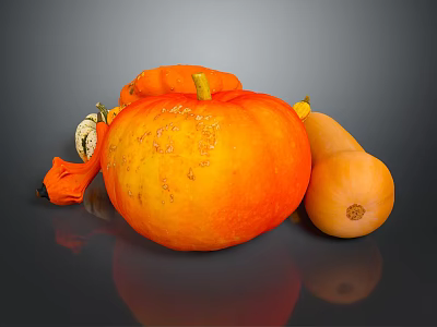 Fresh Orange Pumpkin Fruit Display With Other Gourds On Dark Background 3d model