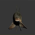 Detailed View of Light Brown Fish with Fins and Tail on Dark Reflective Background