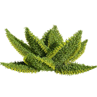 Lush Green Plant With Radiating Vibrant Leaves And Tiny Yellow Flower Accents 3d model
