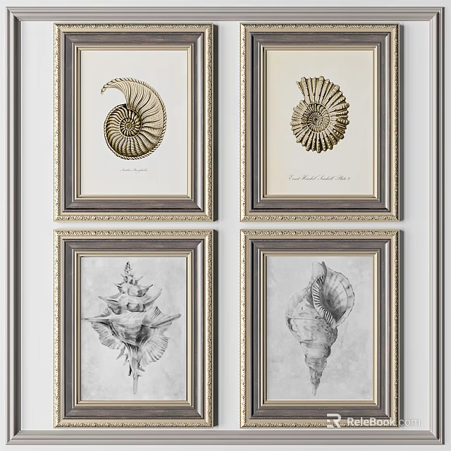 Four Framed Shell Artworks With Gold Borders On White Wall Decor 3d model 