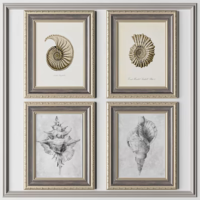 Four Framed Shell Artworks With Gold Borders On White Wall Decor 3d model