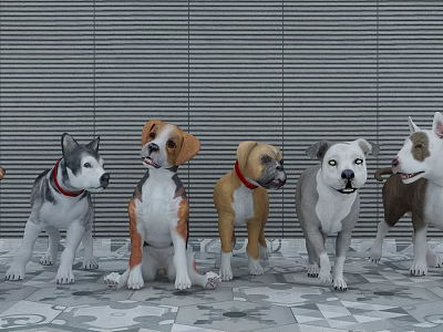 Five Different Dog Breeds Wearing Collars In Indoor Striped Background And Patterned Floor 3d model