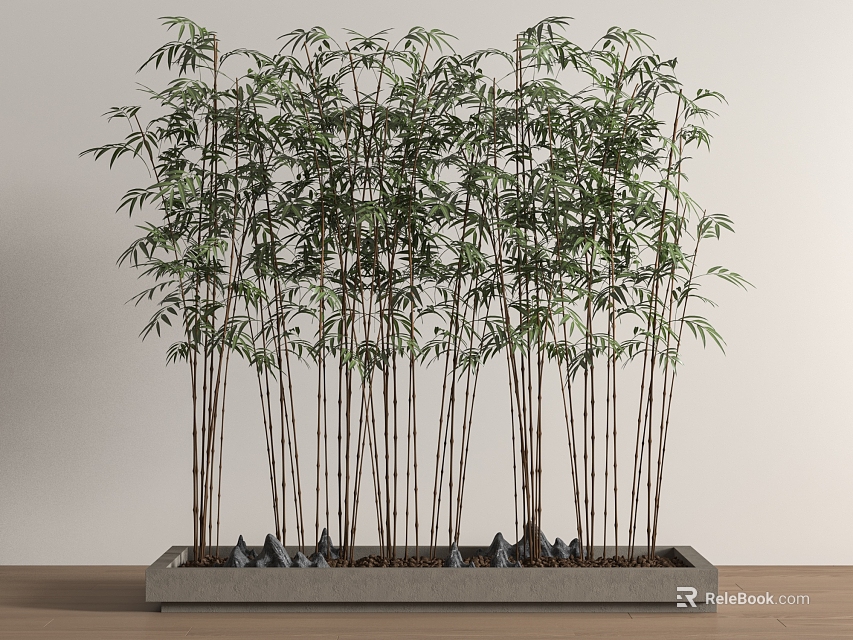 Bamboo Plants in Rectangular Planter with Small Stones and Green Leaves for Indoor Decor 3d model 