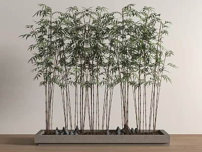 Bamboo Plants in Rectangular Planter with Small Stones and Green Leaves for Indoor Decor 3d model