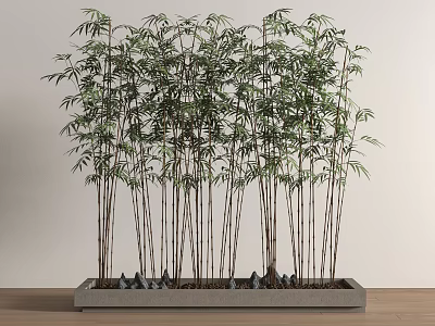Bamboo 3d model
