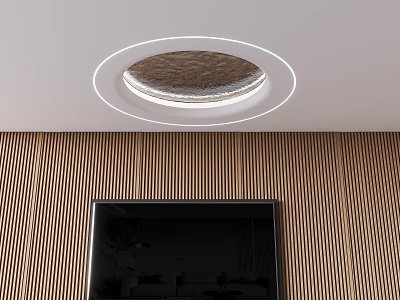 Modern Circular Ceiling Design With Recessed Lighting And Wooden Panel Walls 3d model