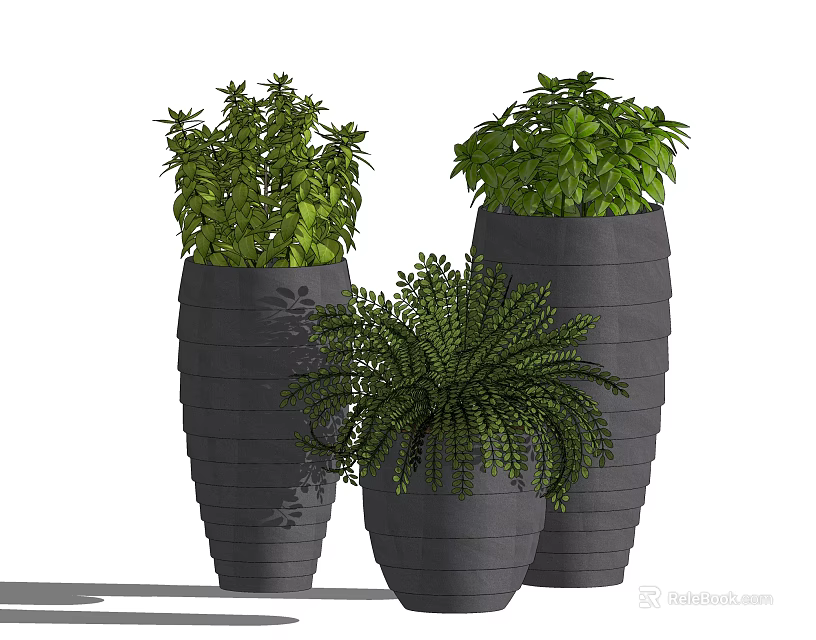 Bonsai Potted Plants in Gray Textured Planters with Lush Green Foliage for Indoor Decor 3d model 
