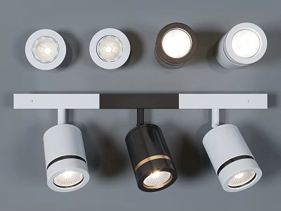 Modern Downlights And Spotlights In White And Black With Sleek Design For Home Lighting 3d model