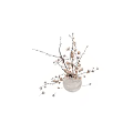 White Ceramic Vase with Natural Magnolia Branches and Delicate White Flowers