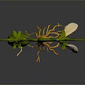Growing Fresh Pea Pod Plant with Green Leaves White Flower Vines and Orange Roots