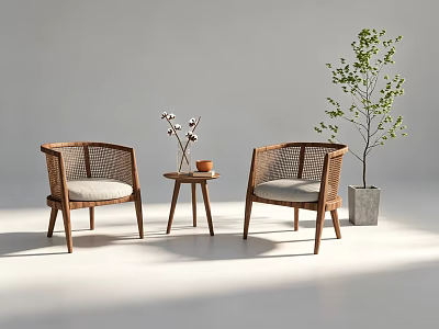 Rattan Leisure Chairs With Wooden Frame Light Cushion Small Side Table And Green Plant 3d model