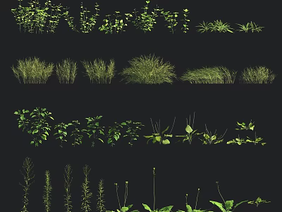Various Types of Green Plants Including Grasses Leafy Varieties and Tall Stems on Black Background 3d model