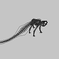 Game Movie Character Skeleton Structure Fantasy Creature With Detailed 3D Design