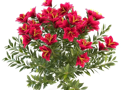 Vibrant Red Flowers With Yellow Stamens And Lush Green Leaves Bouquet 3d model
