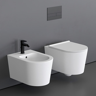 Modern toilet seat combination 3d model