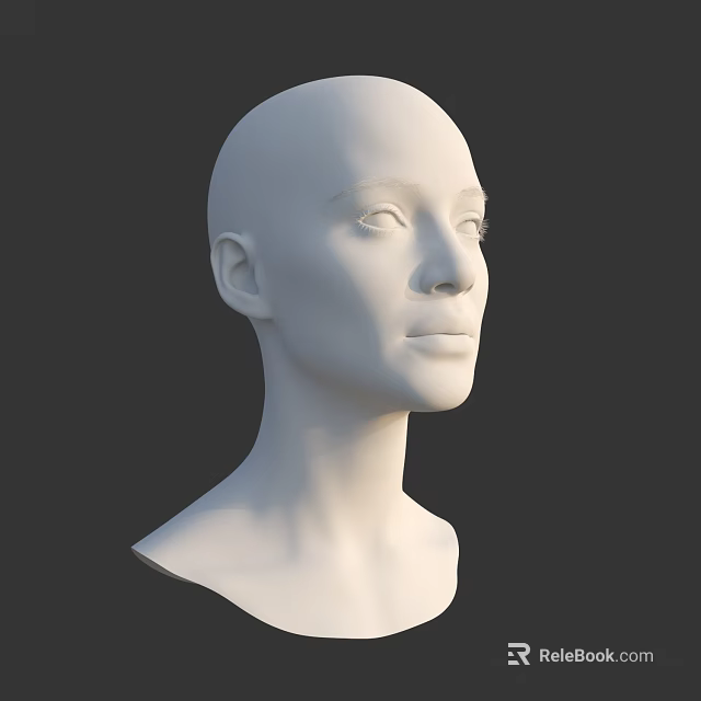 3D White Mannequin Head Model With Detailed Facial Features And Neck 3d model