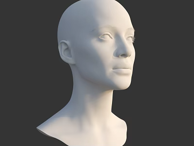 3D White Mannequin Head Model With Detailed Facial Features And Neck 3d model
