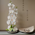 Elegant White Orchids In Vase With Green Leaves Decorative Bowl And Metal Balls