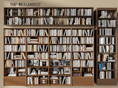 Well Organized Book Collection On Wooden Shelves With Various Books And Decor 3d model