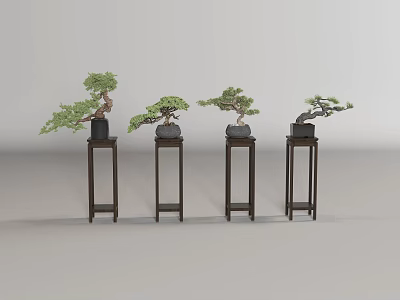 Four Pine Bonsai Plants On Dark Wooden Stands With Unique Shapes 3d model