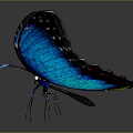 Vibrant Blue Butterfly With Iridescent Wings On Dark Background And Reflection 3d model