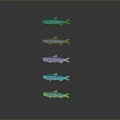Five Blue Fish in Vertical Arrangement Against Gray Background With Reflection