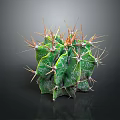 Green Clustered Cactus With Orange Spines And White Spots On Dark Background