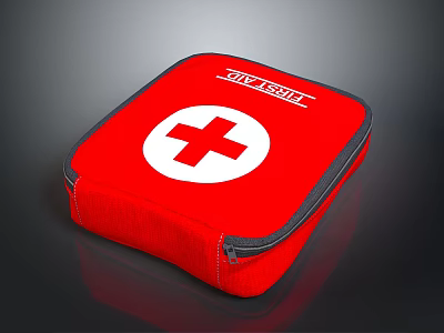 Red Essential First Aid Kit With White Cross Symbol And Zipper Design 3d model