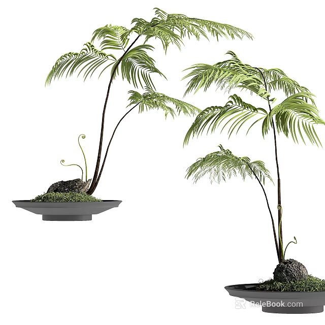 Bonsai Potted Plants With Palm Like Green Leaves On Decorative Tray 3d model 