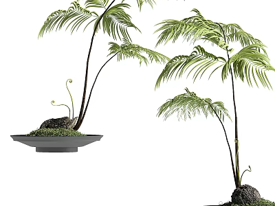 Bonsai Potted Plants With Palm Like Green Leaves On Decorative Tray 3d model