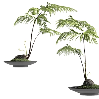 Plant potted ornaments 3d model