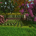 Beautiful Garden Landscape With Pink Flowers Purple Blossoms Green Lawn And Wooden Fence