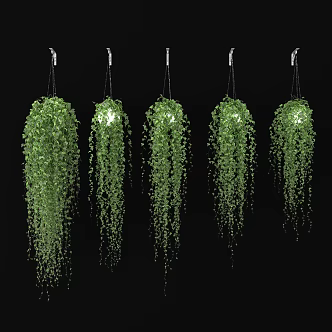 modern hanging basket hanging basket plant 3d model