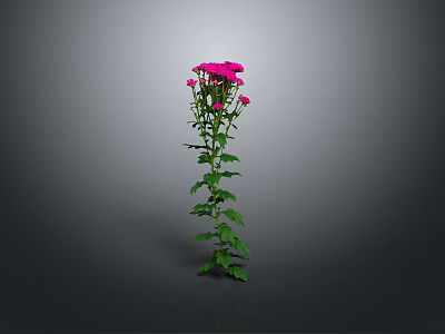 Tall Green Stem Plant With Lush Leaves And Pink Flowers 3d model
