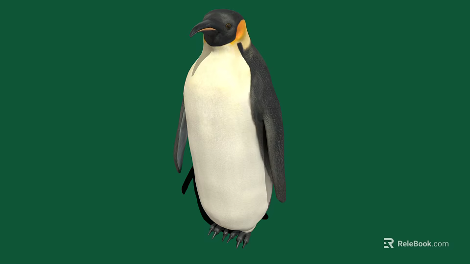 Emperor Penguin With Black And White Feathers And Yellow Neck Patch On Green Background 3d model 