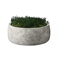 Small Round Gray Concrete Planter With Lush Green Grass For Garden Decoration