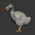 Flying Animal Gray Feathered 3D Model With Yellow Feet Holding Egg In Beak