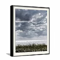 Serene Seascape Landscape With Cloudy Sky And Sparkling Water View