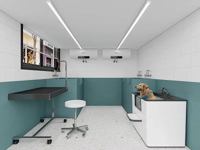 Modern Pet Clinic Interior With Examination Table Stool And Bathtub 3d model