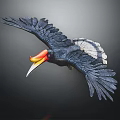 Vibrant Hornbill In Flight With Large Spread Wings Orange Yellow Beak And Dark Background