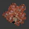 Artistic Tree With Red Leaves And Wooden Trunk On Dark Background